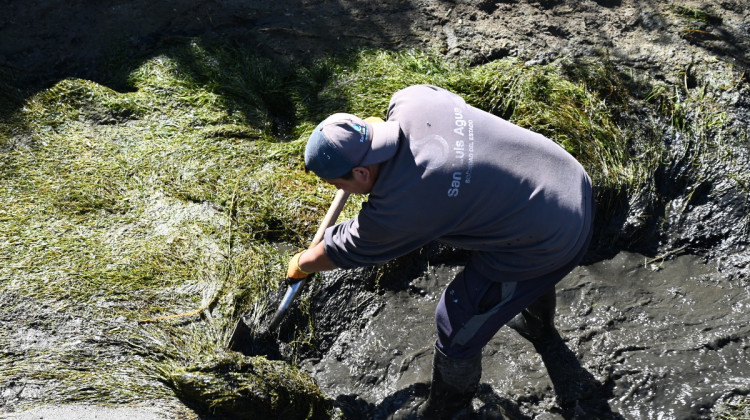 San Luis Agua realizó la limpieza de la cámara desarenadora del Canal Quebrada de López