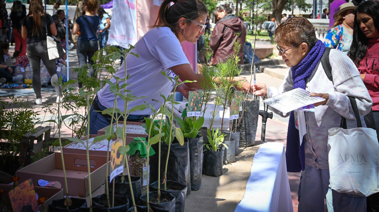 La Feria “Unidos por el Ambiente” llenó de color y conciencia el centro puntano