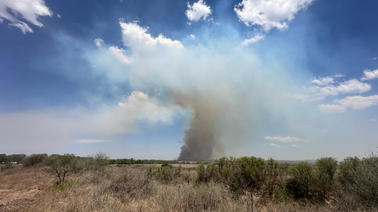 Contuvieron los dos focos de incendio en las cercanías de Donovan