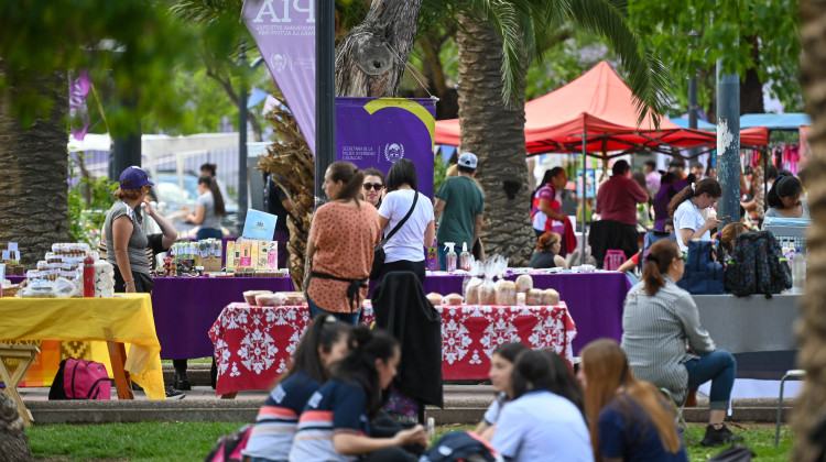 La comunidad sanluiseña disfrutó de la feria “Unidos por el Ambiente”