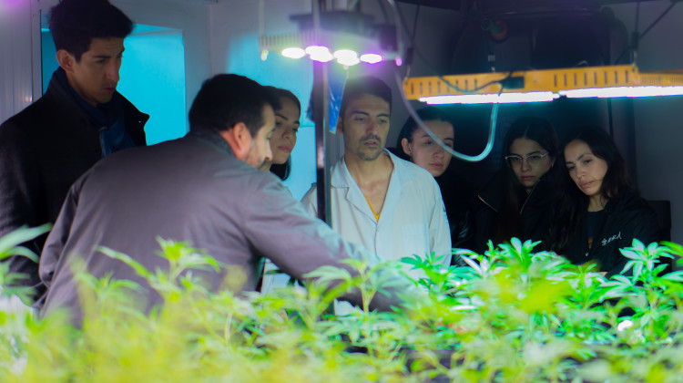 Médicos del Hospital Central visitaron las instalaciones del Proyecto Belgrano destinado a cannabis medicinal