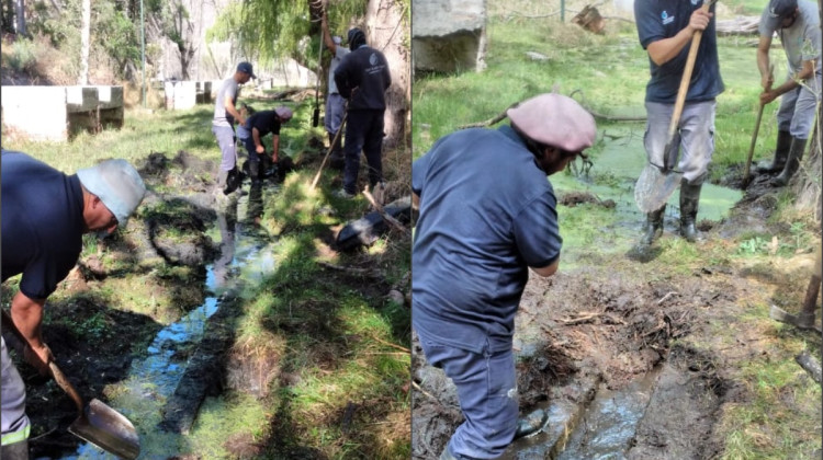 San Luis Agua trabaja en el mantenimiento del perilago del dique San Felipe