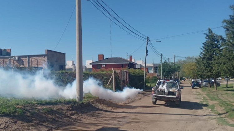 Confirmaron la detección de dos nuevos casos de dengue en la provincia