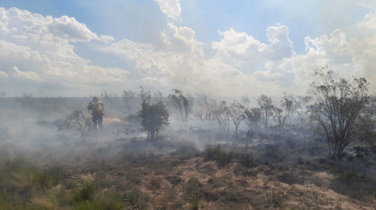 Buscan extinguir un incendio forestal en Alto Pelado