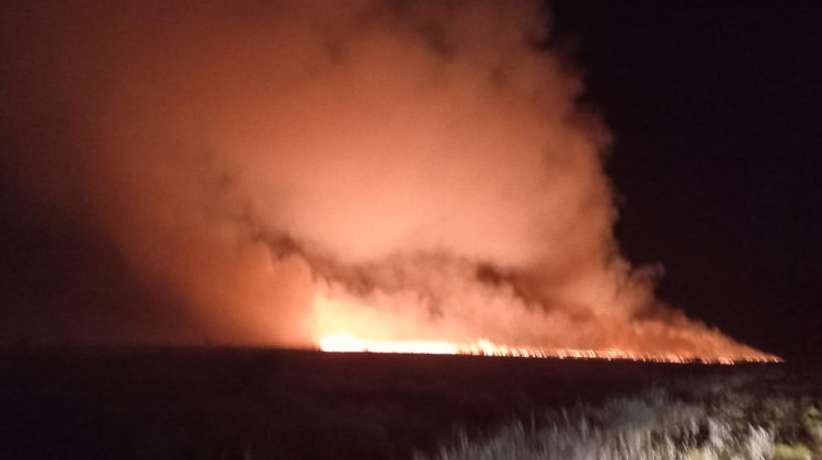 Extinguieron un incendio de grandes dimensiones en Martín de Loyola