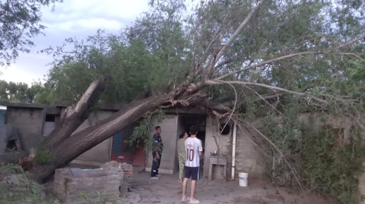 Continúan las tareas de asistencia en Villa Mercedes luego del temporal