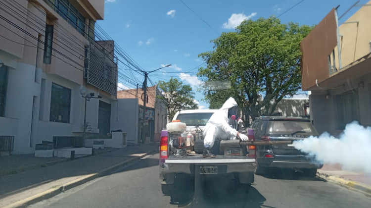 El ministerio de Salud monitorea la evolución del primer caso de dengue autóctono en San Luis