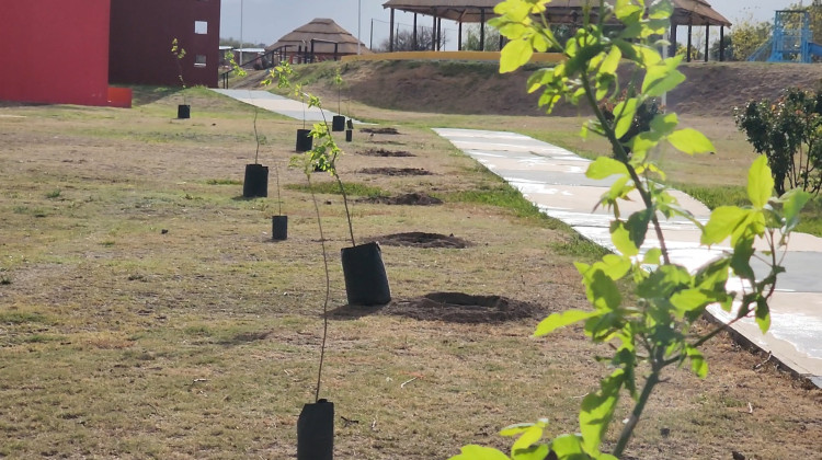 Capacitarán a empleados municipales de La Punta en forestación nativa