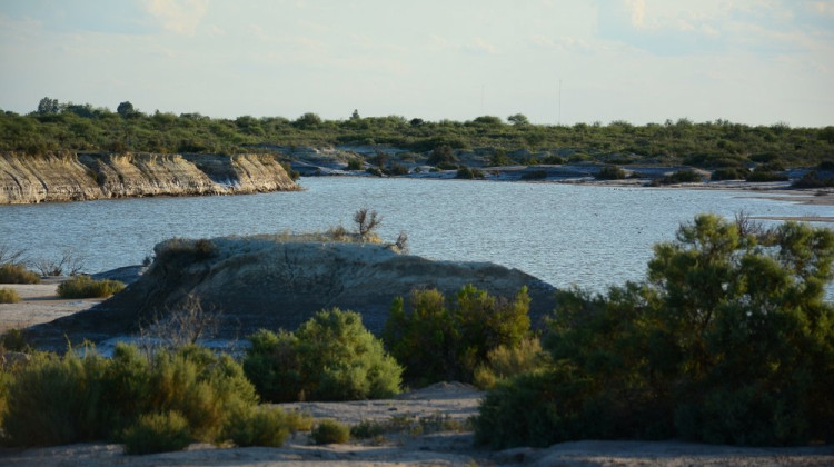 Buscan fondos para recuperar el Sitio Ramsar Lagunas de Guanacache, Desaguadero y del Bebedero