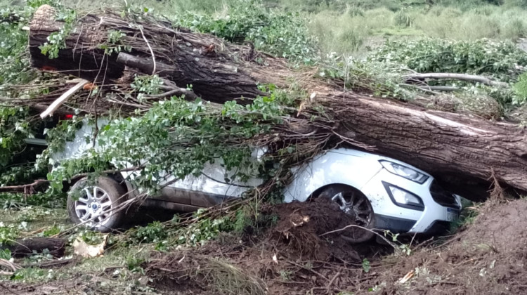 Un temporal pegó fuerte en El Trapiche