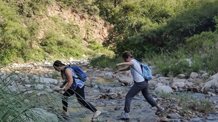 ¡Vení a conocer ‘Quebrada de Las Higueritas’! Una reserva llena de vida