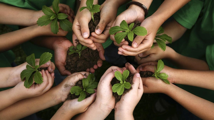 ‘Eco San Luis’ llega este viernes al Parque de las Naciones