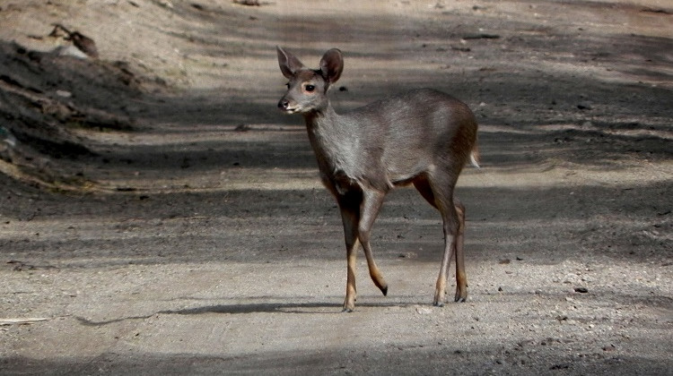 Nuevos horarios para recorrer las Áreas Naturales de San Luis