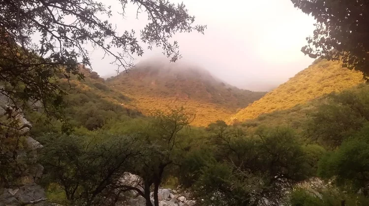 Reserva Natural Privada Quebrada del Palmar: una maravilla natural de San Luis