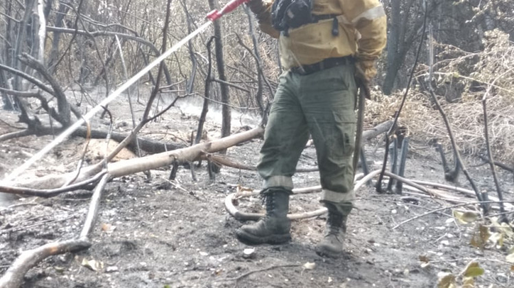 Brigadistas puntanos combaten sin tregua el fuego en el Parque Nacional Los Alerces