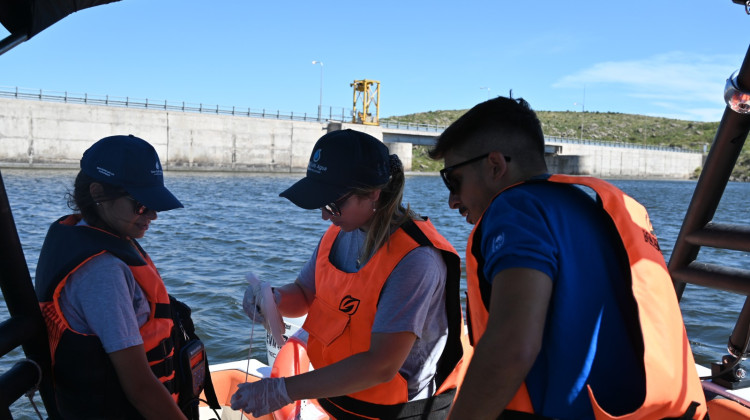 San Luis Agua evaluó el embalse Boca del Río para revalorizar el sistema íctico provincial