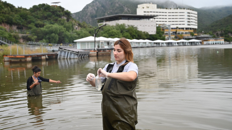 Aseguran que la mortandad de peces en el dique Potrero de los Funes es por causas naturales