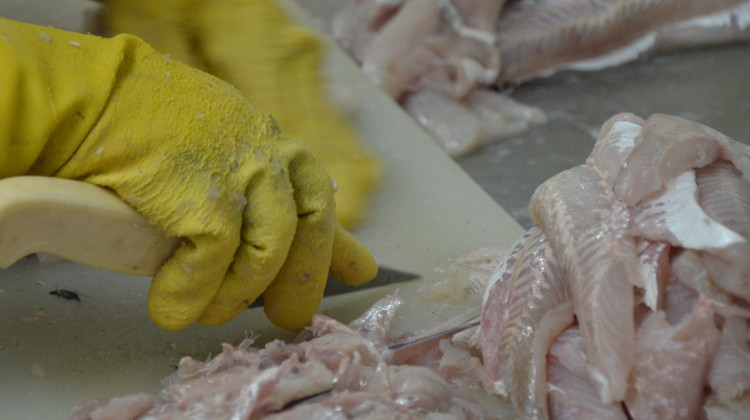 Senasa brindó recomendaciones para el consumo seguro de pescado en Semana Santa