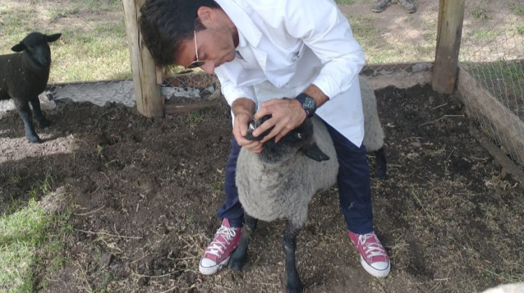 Brindaron asistencia sanitaria a animales de la Granja Productiva Escolar Demostrativa