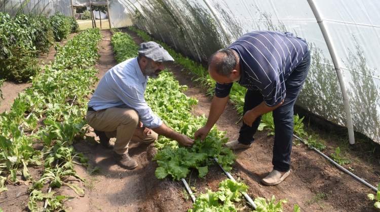 La Cooperativa de Trabajo Agroindustrial de Tilisarao emplea a 30 personas