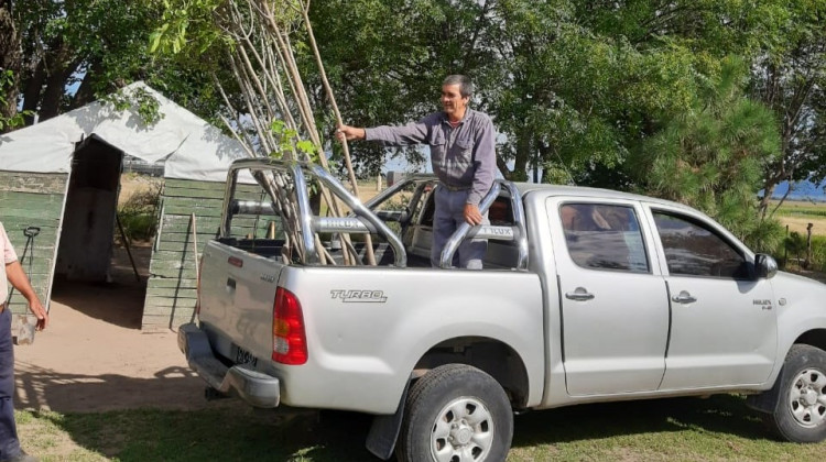 Colocarán cortinas forestales en las cuatro plantas recicladoras provinciales