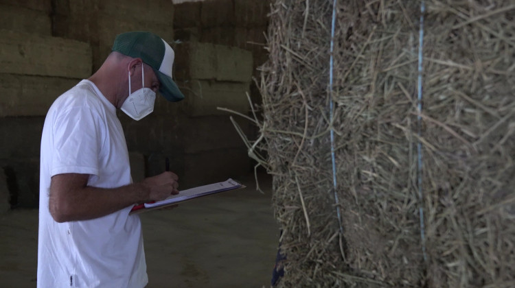 San Luis concretó la exportación de 550 toneladas de alfalfa a Arabia Saudita