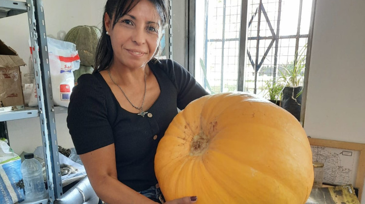 Cosecharon más de 200 kilos de verduras que destinaron a la Red de Acompañamiento Familiar