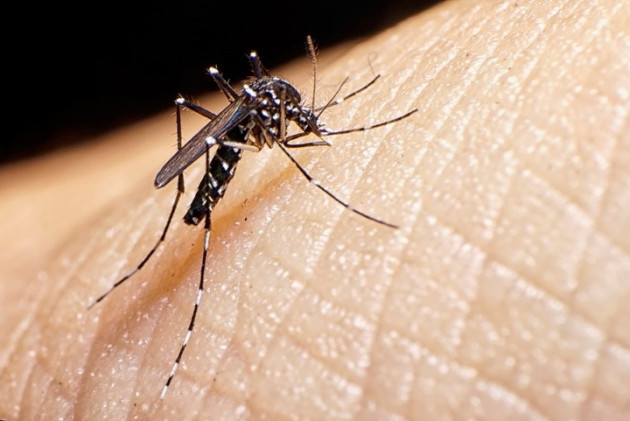 Actualización de la situación del dengue en la provincia