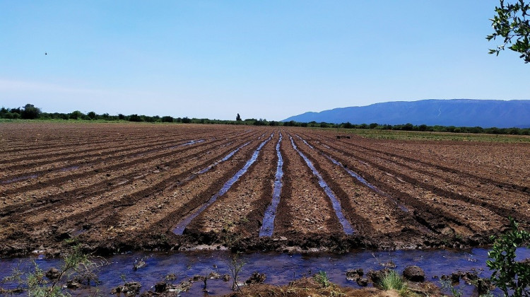 Comenzó la inscripción de Intención de Siembra Temporada Otoño – Invernal 2024