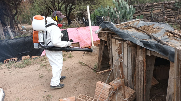 San Luis, Córdoba y La Rioja realizaron un operativo para la detección y control del Chagas