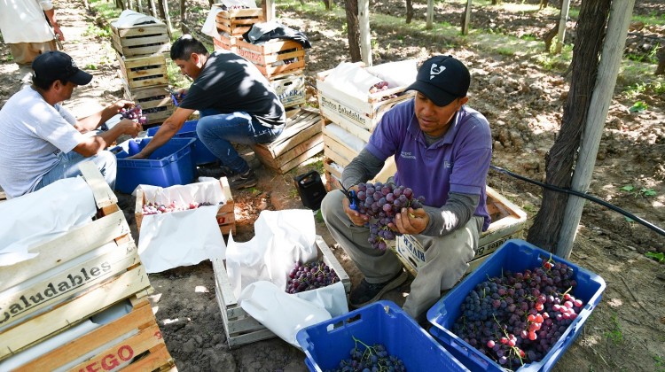 La Expo San Luis Intensiva reunirá este viernes a cientos de productores