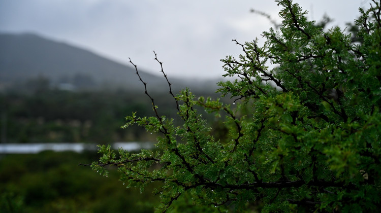 Otoño gris: llega un fin de semana con inestabilidad y descenso de las temperaturas