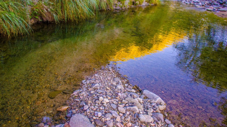 Las áreas naturales protegidas batieron récords de visitantes