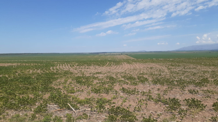 Cuenca de La Petra: promueven consorcios de productores con una perspectiva ambiental