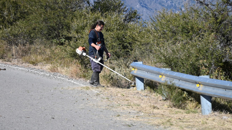 San Luis Agua realizó el desmalezado del peridique de Las Palmeras