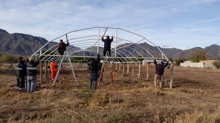 ‘La Crisálida’ armó su invernadero, en un proyecto que busca tejer redes de cooperación