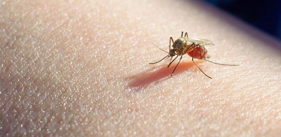Se notificó en la provincia el primer caso de malaria de 2024
