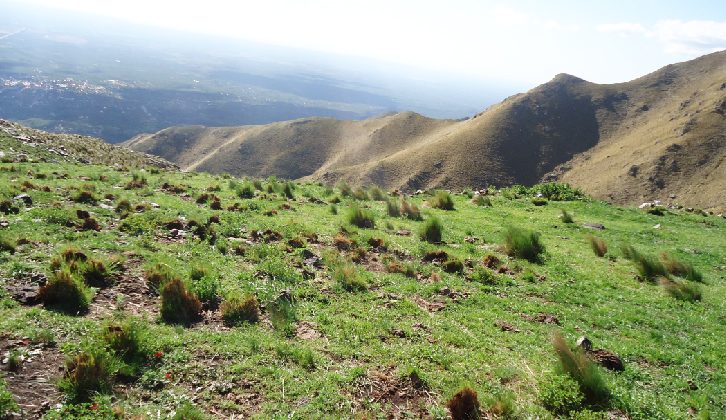 Dieron a conocer los horarios para visitar las Áreas Naturales de San Luis