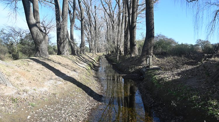 Limpian los canales para riego en Villa Mercedes