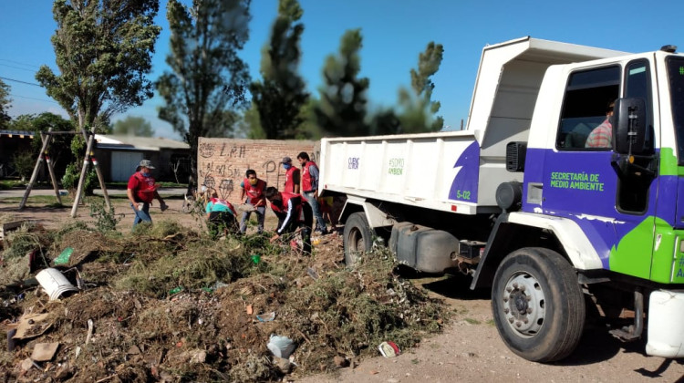 El Gobierno facilitará el tratamiento de residuos verdes a los municipios