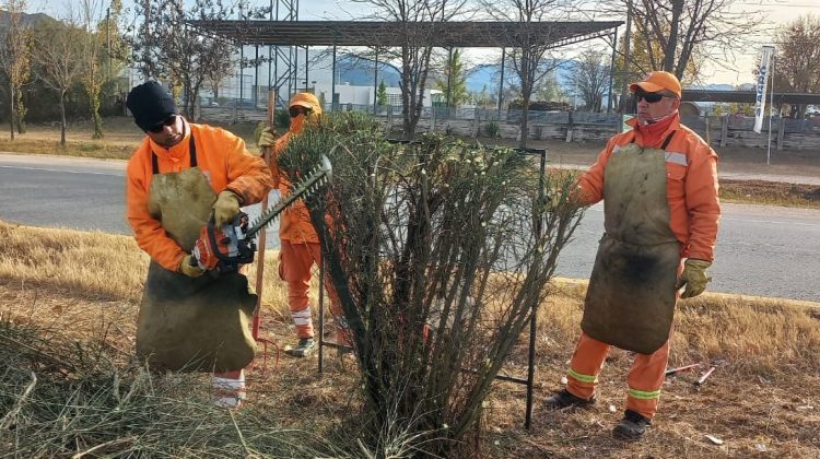 Continúa la poda correctiva y el desmalezado en la autopista de las Serranías Puntanas