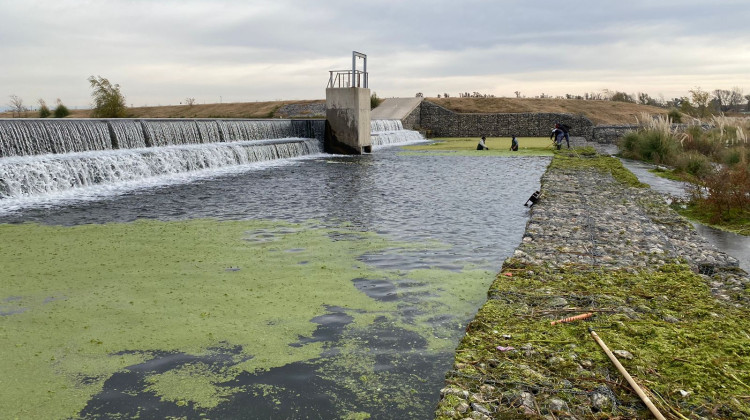 Realizan tareas de limpieza sobre los espejos de agua de Villa Mercedes