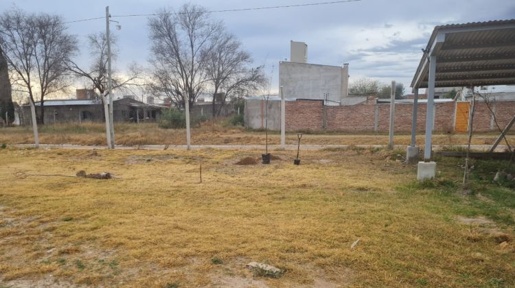 Avanzan las tareas de forestación en el campus de la UNViMe