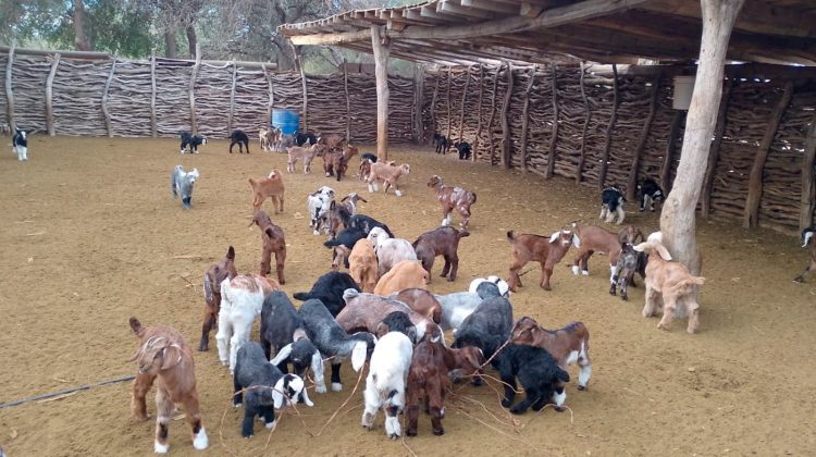 ‘Las Toscas- La Calera’, un proyecto con ribetes ambientales que aspira al financiamiento del PIC