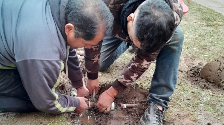 Infraestructura Escolar continúa con refacciones integrales en varias escuelas