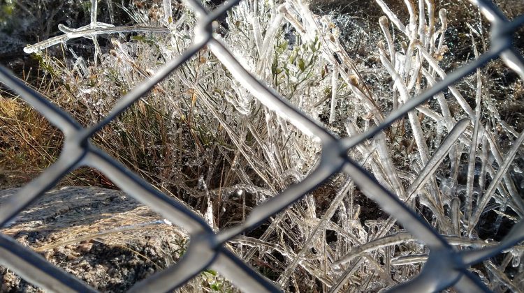 El frío extremo no para y San Luis está bajo alerta