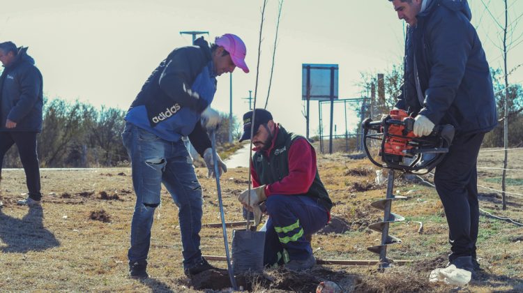 Con más de 40 árboles plantados, ‘La Metropolitana’ se rodea de verde