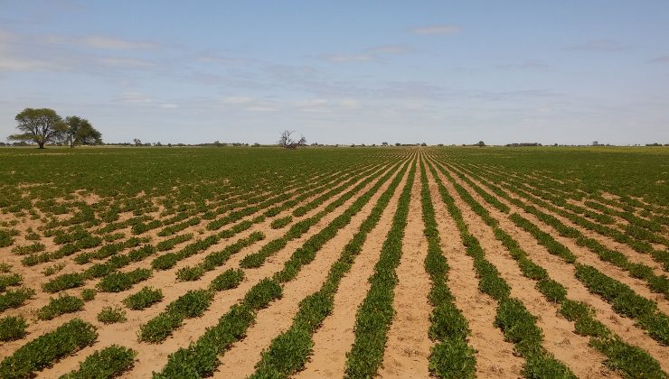 San Luis avanza en el desarrollo de medidas para proteger los suelos productivos