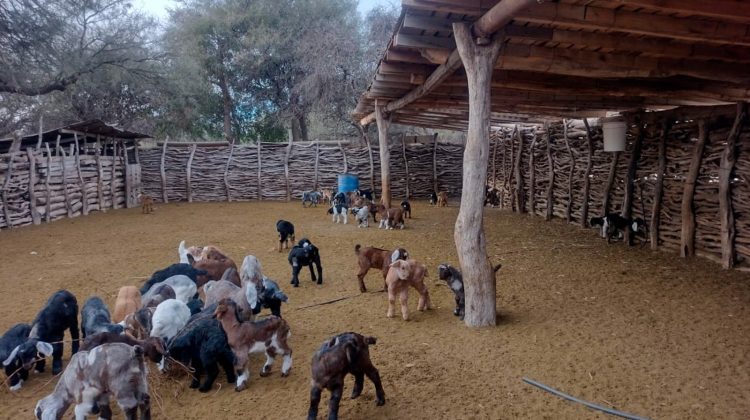 ‘Las Toscas’ y ‘Balde de Escudero’, seleccionadas para recibir financiamiento del Fondo Verde del Clima