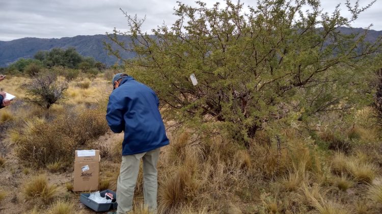 Inspeccionaron el sitio ‘La Estela’, donde funcionaba una antigua mina de Uranio